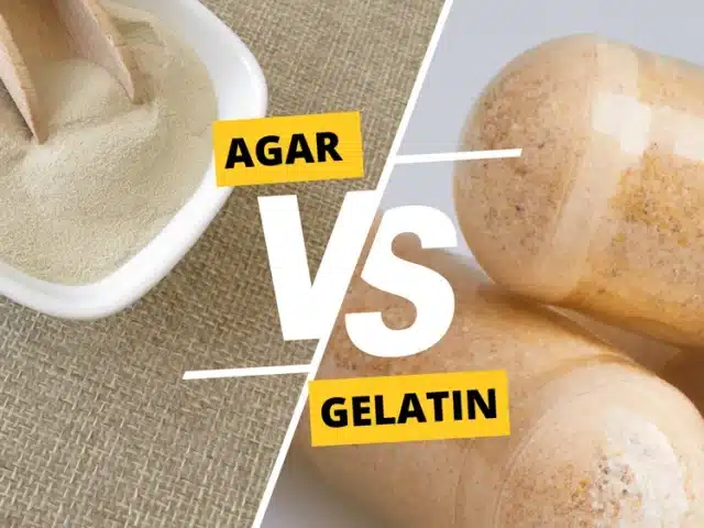 Agar Agar vs Gelatin: A Comprehensive Guide to Choosing the Right Gelling Agent