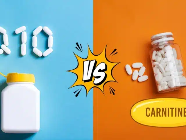 Coenzyme Q10 and L-Carnitine：Optimize Your Energy