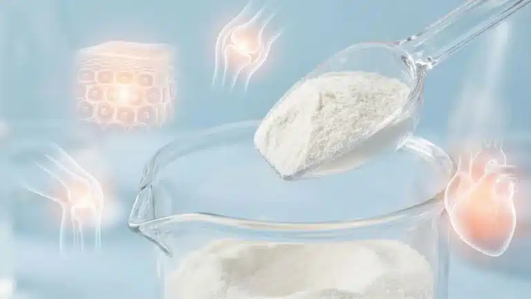 Elastin Protein Takviyeleri