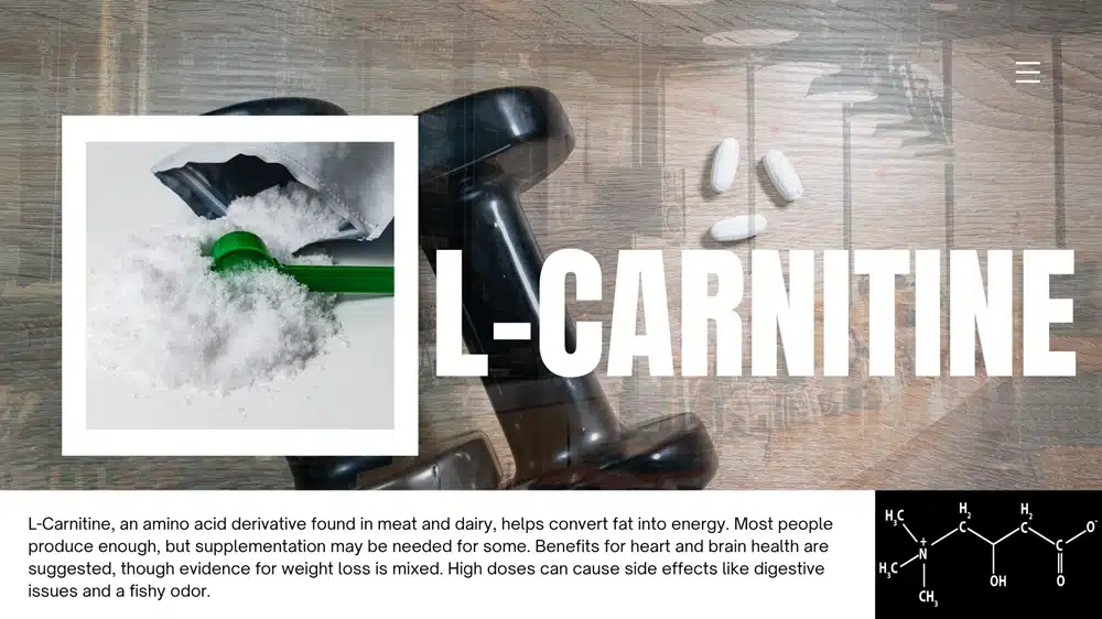  L-Carnitine