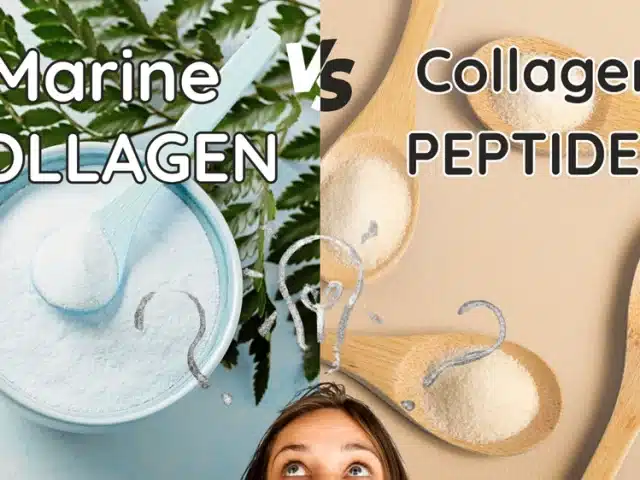 Marine Collagen vs Collagen Peptides: What’s the Difference?