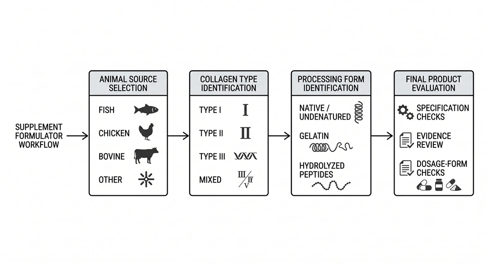 Collagen source, collagen type and processing form decision flowchart