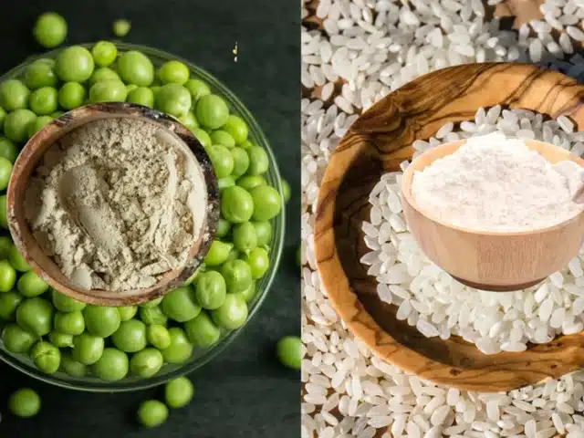 pea and brown rice protein powder​: Fuel Your Plant Power
