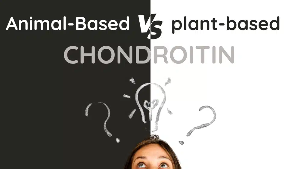 Animal-Based vs plant-based