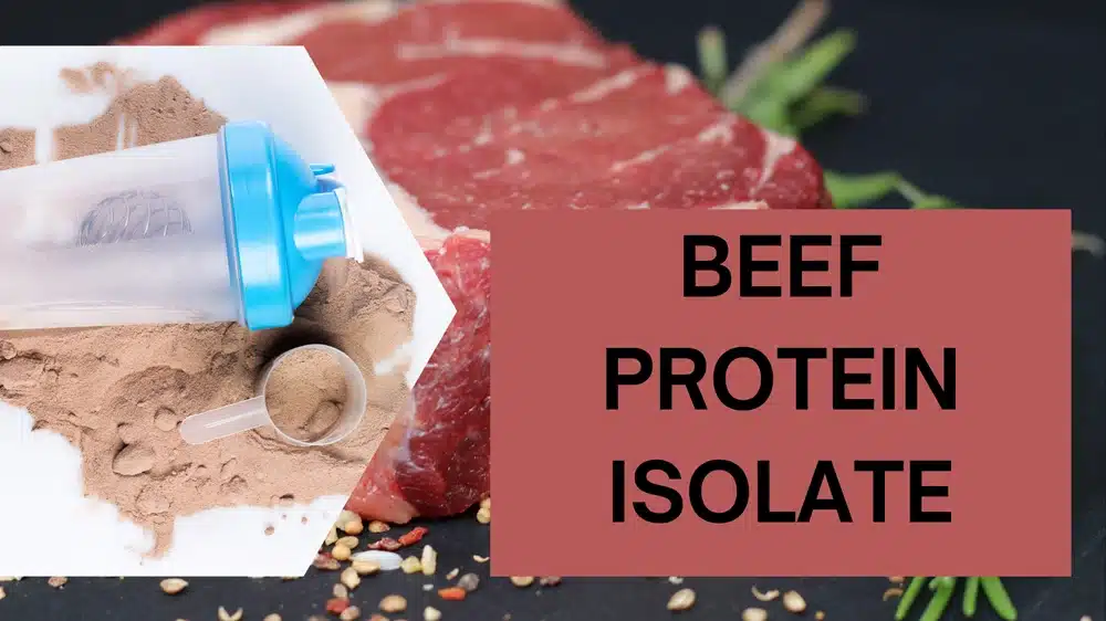 Sığır Eti Protein İzolatı Tam Bir Protein midir?