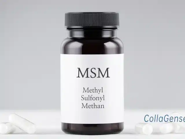 Best MSM Supplement for Joint Health: Top Options & Guide