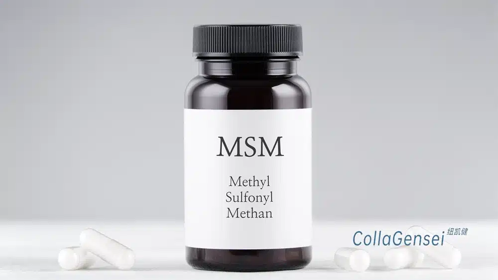 Best MSM Supplement