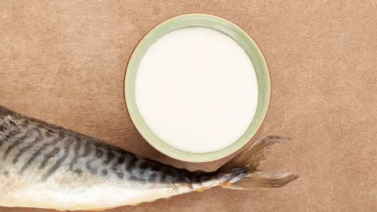 fish collagen manufacturer