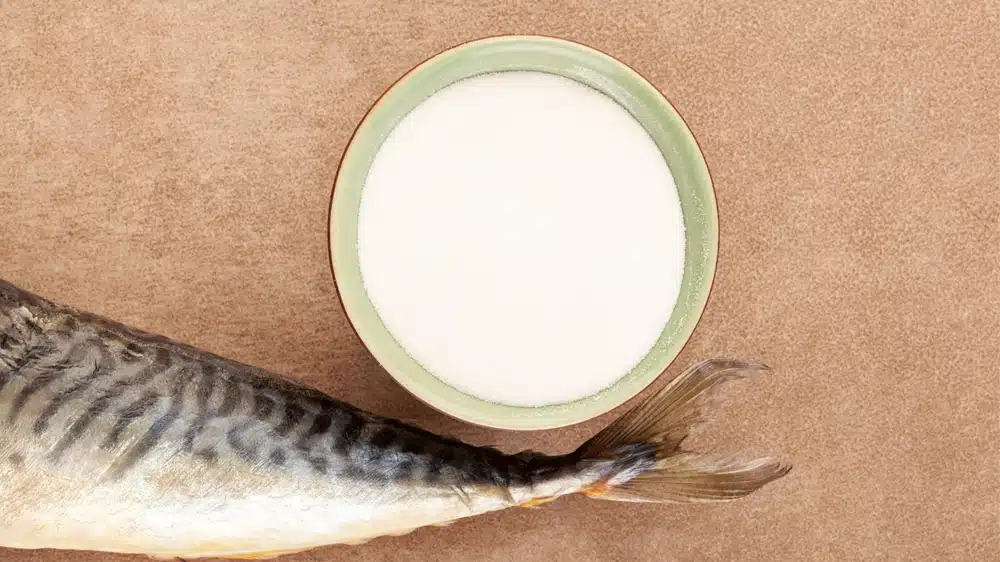 fish collagen manufacturer