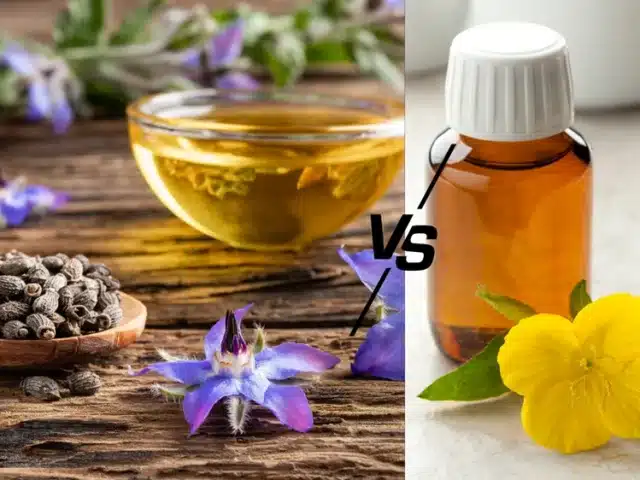 Borage Seed Oil vs Evening Primrose Oil: Which is Better?