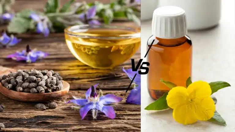 Borage Seed Oil vs Evening Primrose Oil