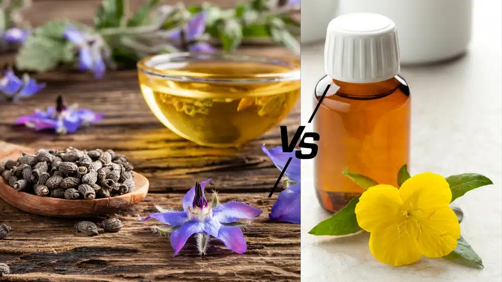 Borage Seed Oil vs Evening Primrose Oil