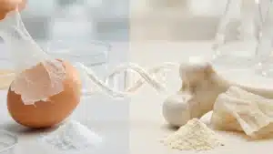 كولاجين غشاء قشر البيض مقابل الكولاجين البقري