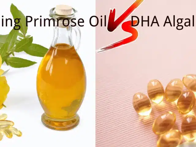 Evening Primrose Oil VS DHA Algal Oil