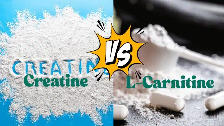 L-Carnitina vs Creatina: ¿Qué suplemento es mejor para usted?
