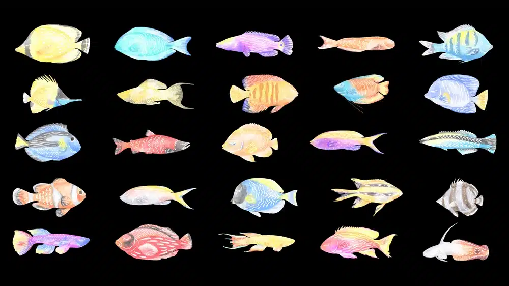 Cod Fish Oil vs Fish Oil
