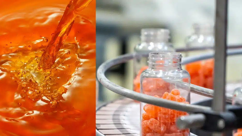 manufacturing process for liquid and gummy supplements
