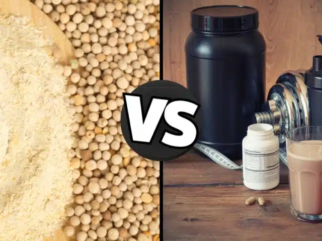 Erbsenprotein vs. Molkenprotein: was ist besser？