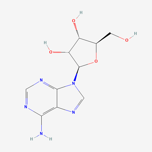 Struttura dei peptidi di collagene