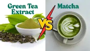 Green Tea Extract vs. Matcha