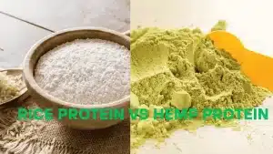 Rice Protein vs Hemp Protein