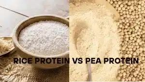 Rice Protein vs Pea Protein