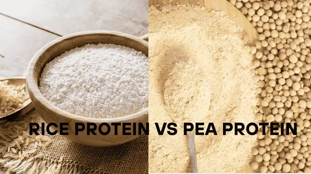 Rice Protein vs Pea Protein