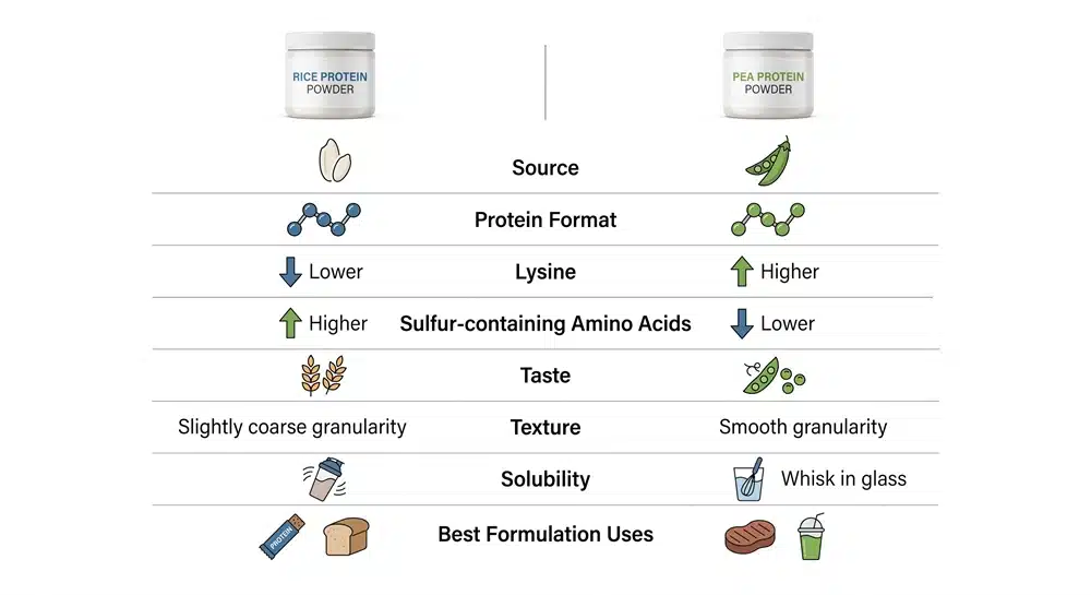 Rice protein vs pea protein comparison by amino acids, taste and formulation use