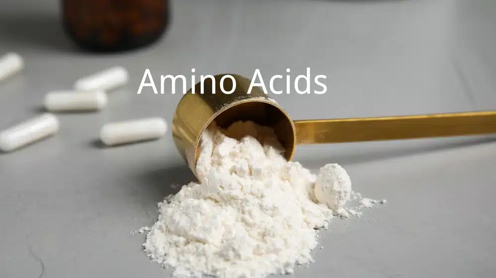 Aminoácidos