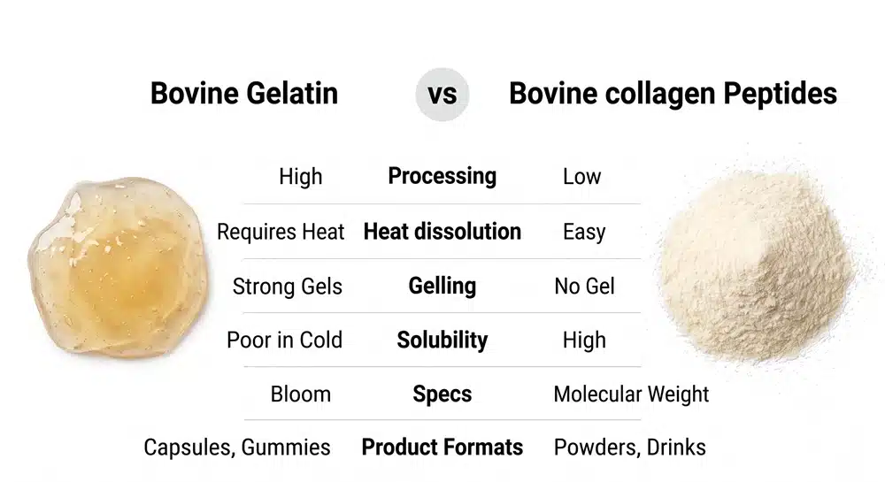 Bovine gelatin vs collagen peptides comparison by processing, gelling, solubility and product use