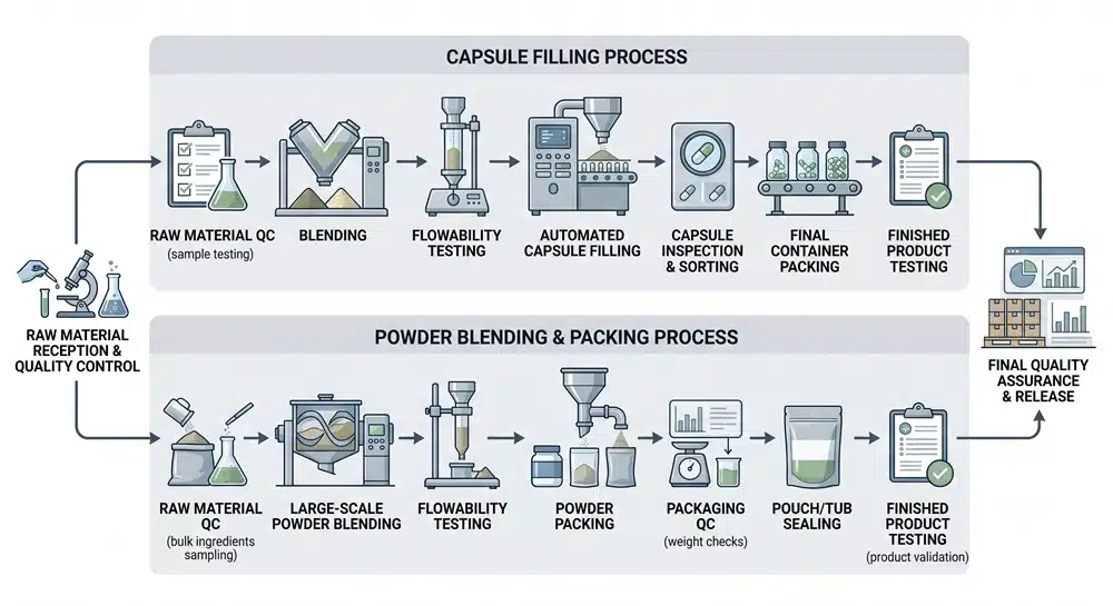 protein-powder-capsule-manufacturing-flow Protein capsule filling and powder supplement manufacturing workflow comparison