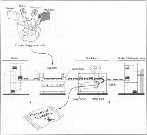 구미 보충제 제조 공정