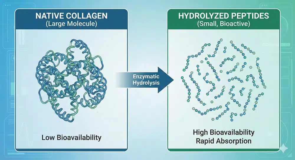 Immagine_generata_da_Gemelli_dkztjzdkztjzdkzt