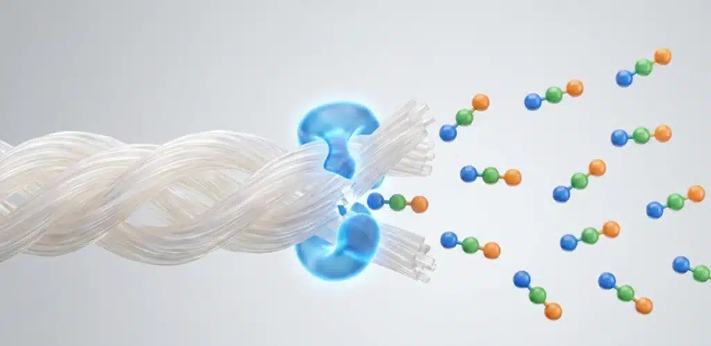 Cosa sono i peptidi di collagene Cosa sono i peptidi di collagene