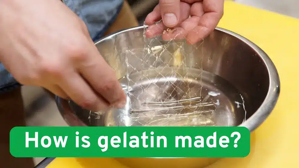 how is gelatin made