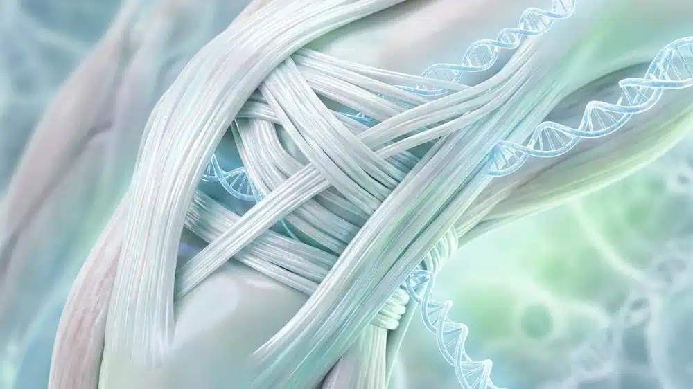 Collagen for Connective Tissue & Inflammation Collagen for Connective Tissue & Inflammation