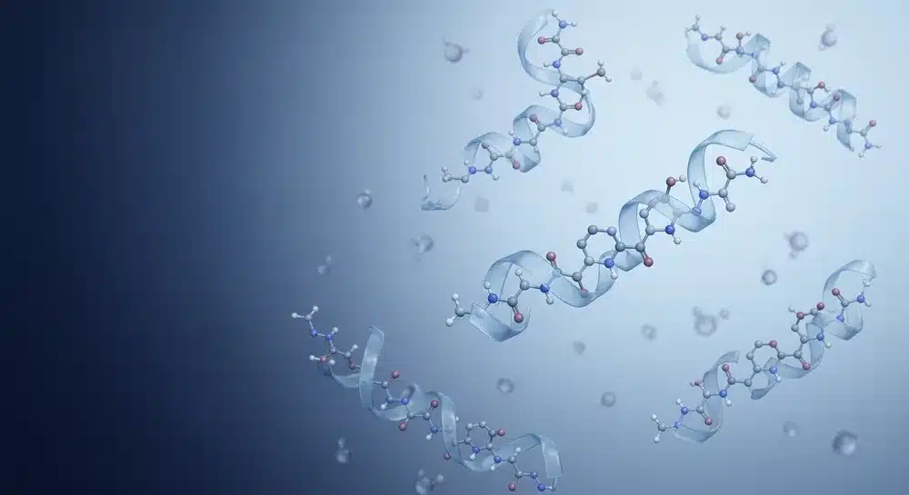Collagen peptide amino acid chains rich in glycine proline and hydroxyproline