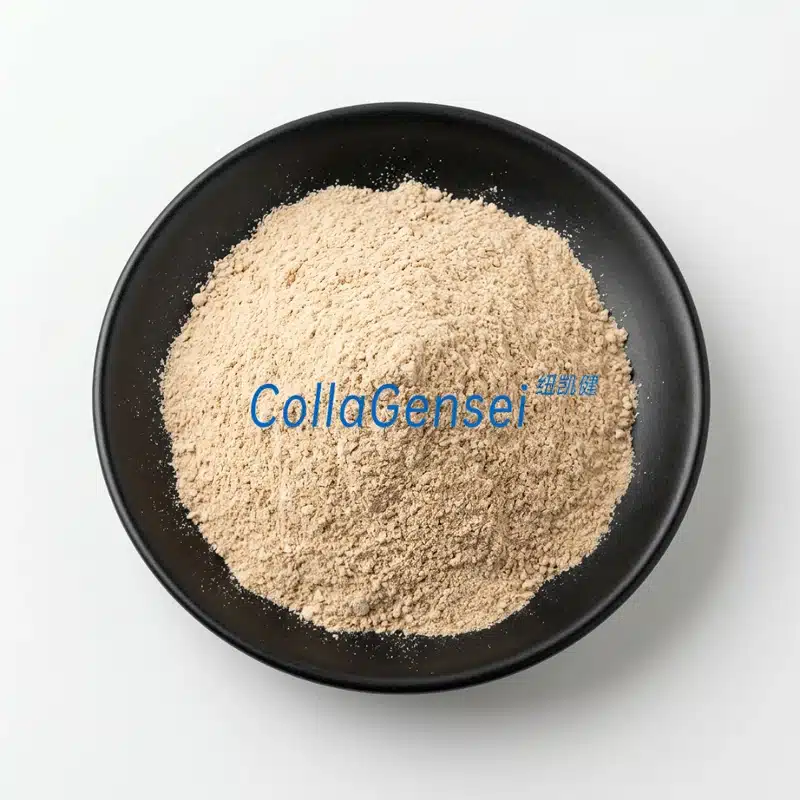 Oyster Extract powder