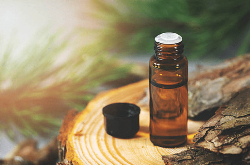Pine Bark Extract powder